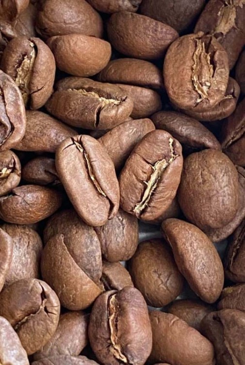 prezent z kawą świeżo paloną - prezent kawa i herbata - Kawowa Fabryka